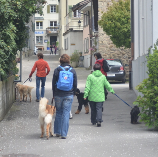 SKN Sempach 157